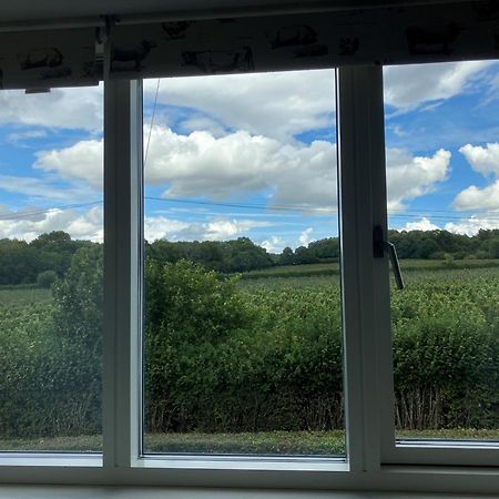 Withy Farm Bed & Breakfast Canterbury Eksteriør bilde
