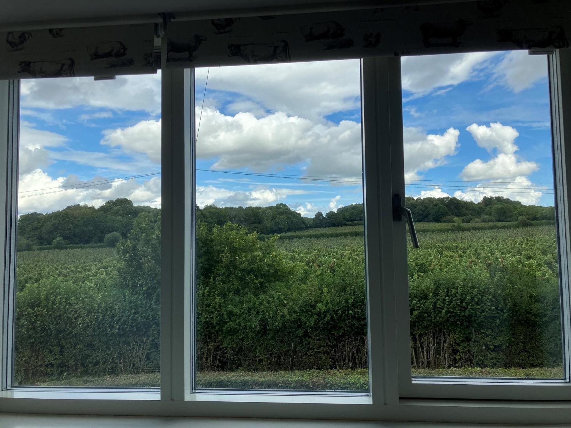 Withy Farm Bed & Breakfast Canterbury Eksteriør bilde